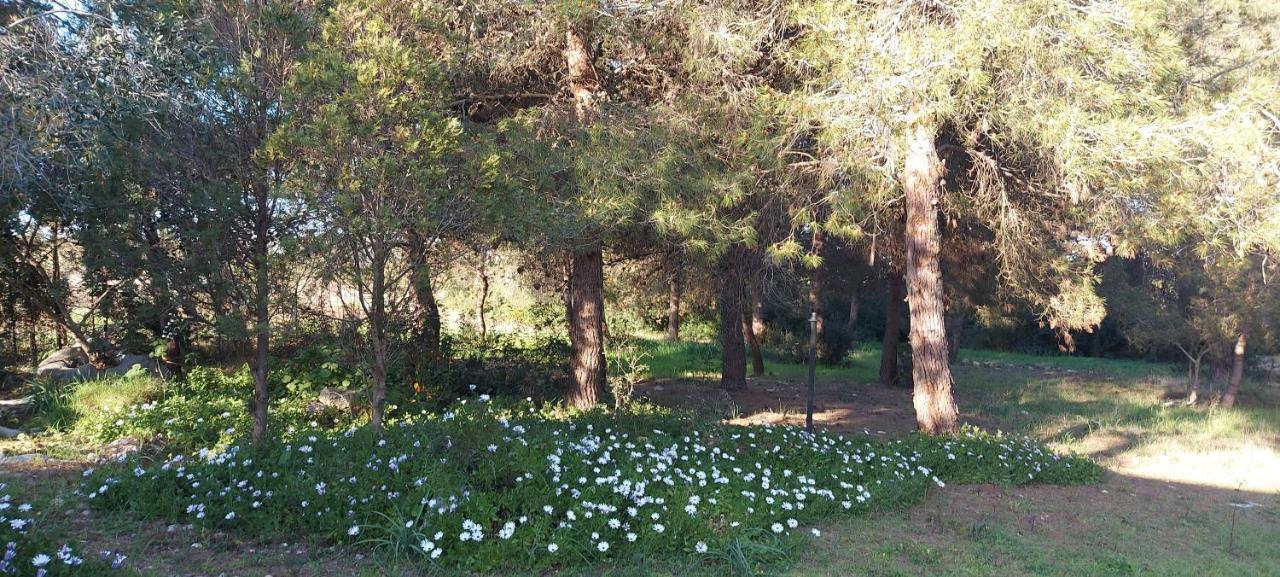 Villa Raffaella ليتشي المظهر الخارجي الصورة