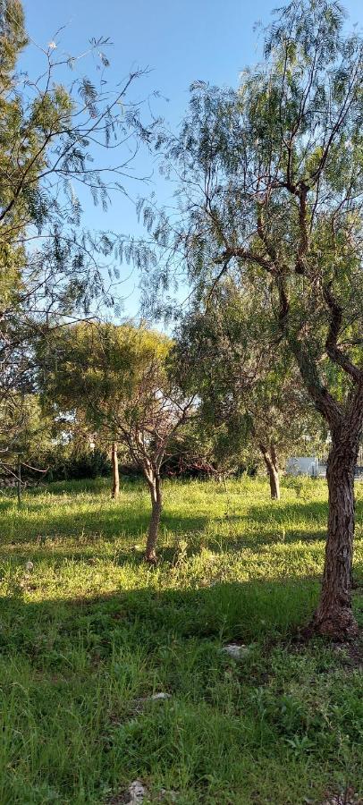 Villa Raffaella ليتشي المظهر الخارجي الصورة