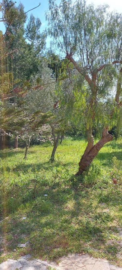Villa Raffaella ليتشي المظهر الخارجي الصورة